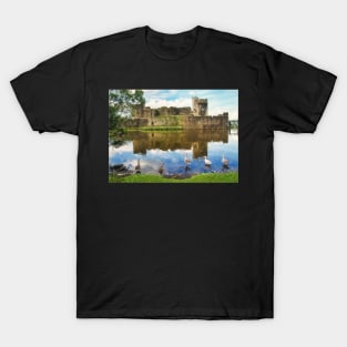 The Castle Geese T-Shirt